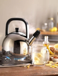 Zwilling Plus Fluitketel Rond 1,6 Liter Rvs 5 Zwilling Plus Fluitketel Rond 1,6 Liter Rvs -Keuken Verkoop zwilling plus fluitketel rond 1 5 liter rvs